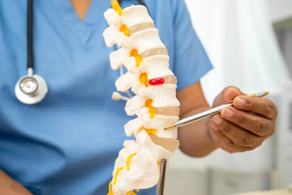 Spine surgeon examining a spinal model to assess a possible spinal condition